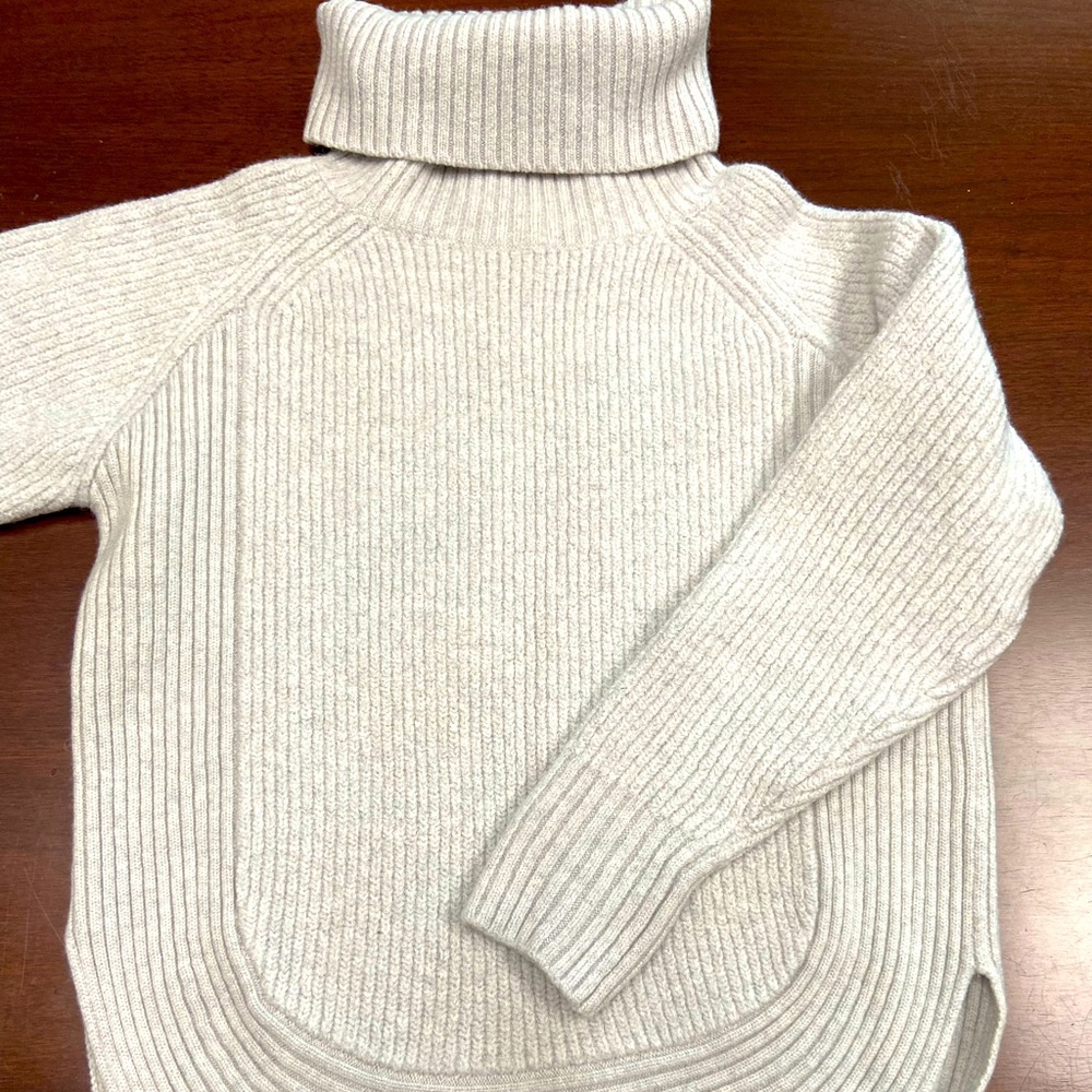 Aritzia Wildfred Free Wool Turtleneck Sweater